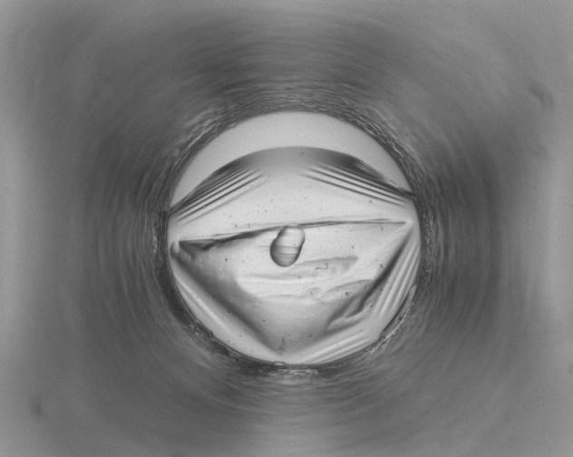 X0000115680128200912101141