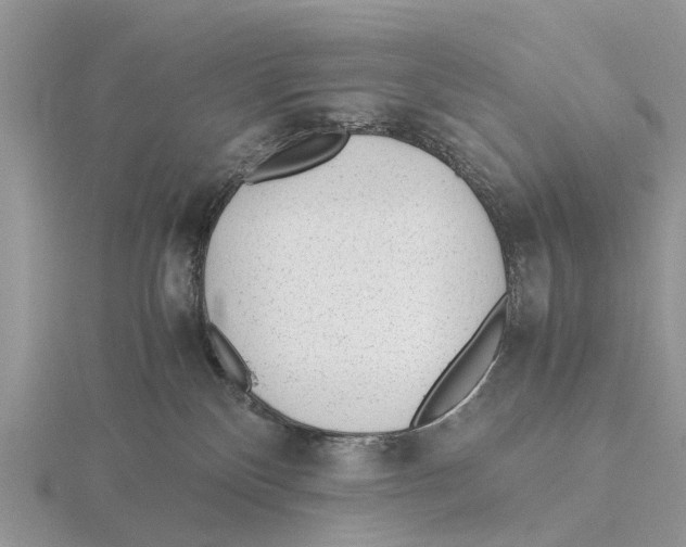 X0000115680136200912101141
