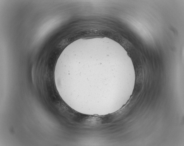 X0000115680140200912101141