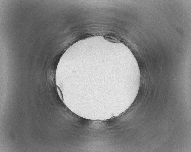 X0000115680141200912101141