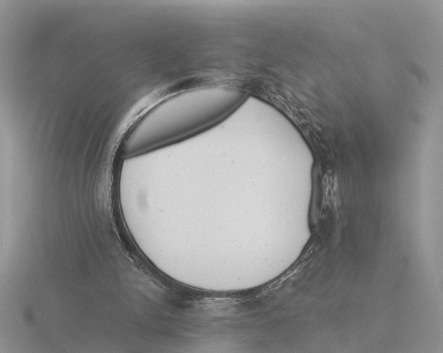 X0000115680150200912101140