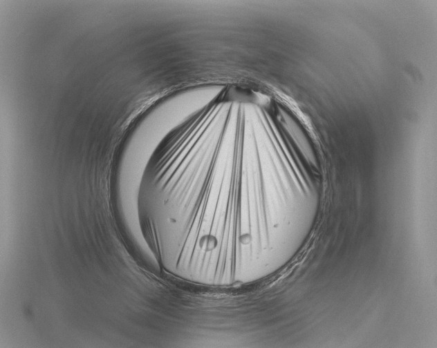X0000115680154200912101140