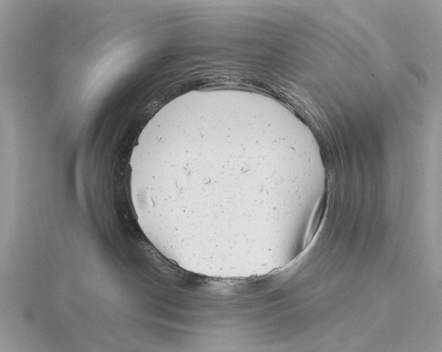 X0000115680190200912101141