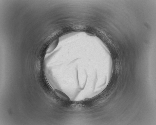 X0000115680211200912101140