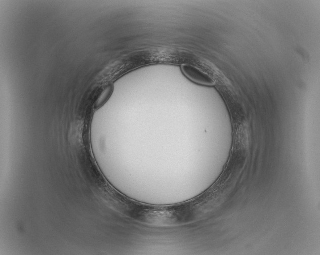 X0000115680217200912101140