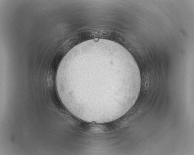 X0000115680226200912101140
