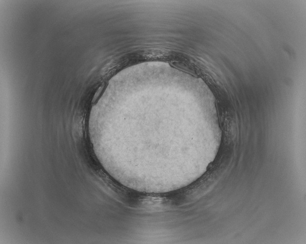X0000115680227200912101140