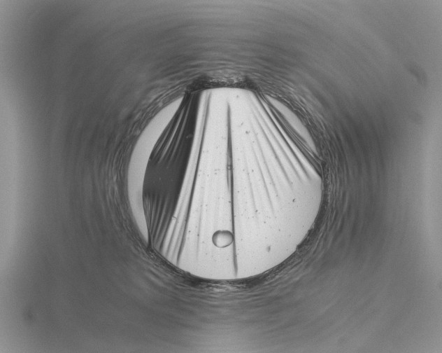 X0000115680229200912101140