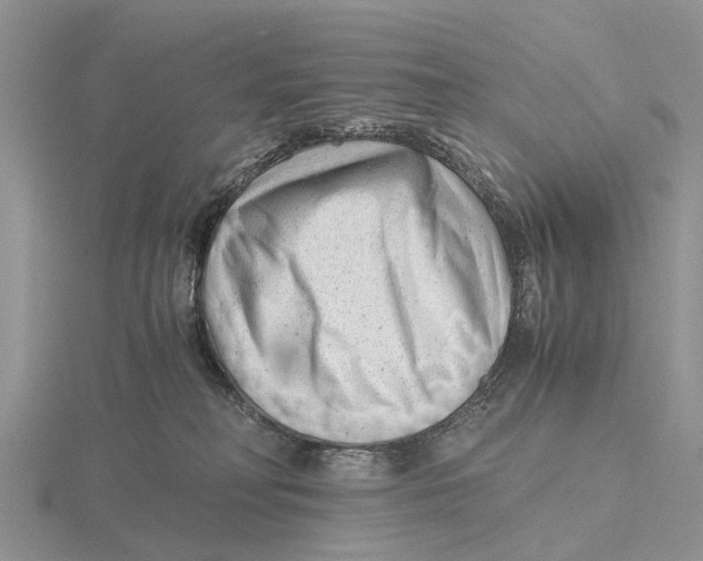 X0000115680230200912101139