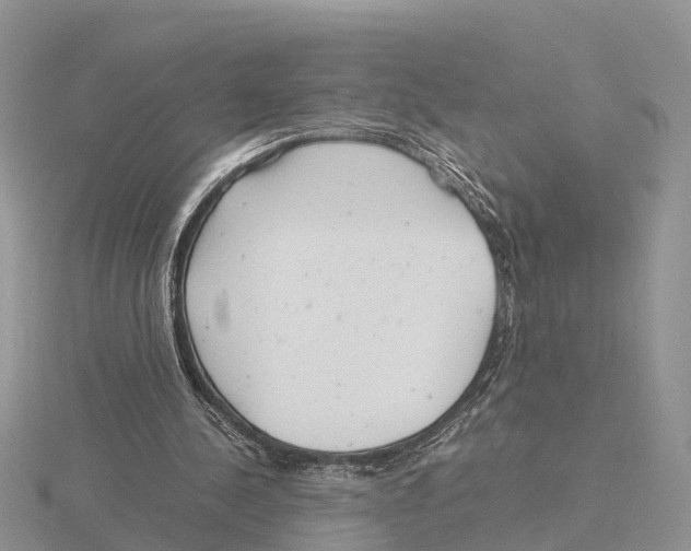 X0000115680244200912101139