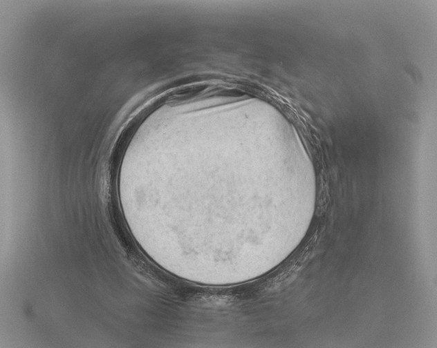 X0000115680247200912101139