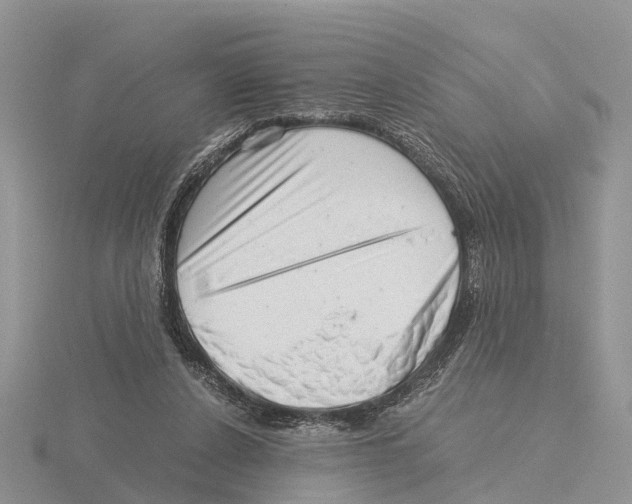 X0000115680256200912101139