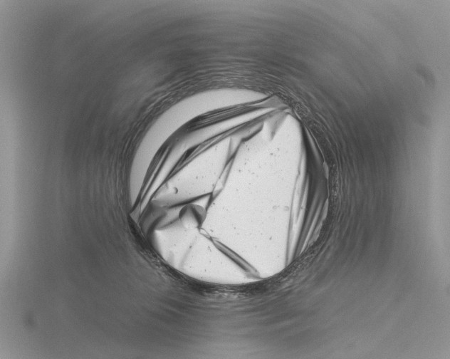 X0000115680276200912101139