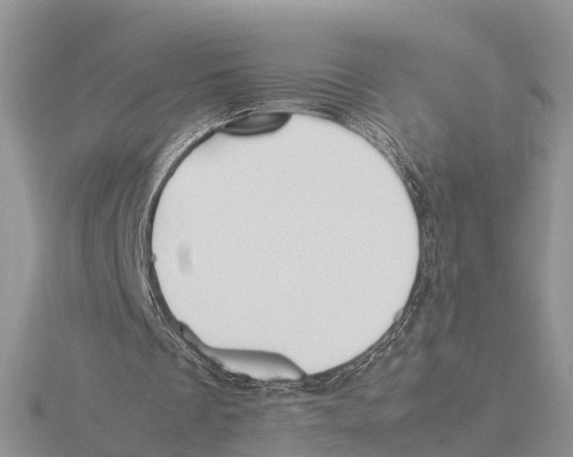 X0000115680289200912101139
