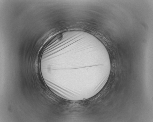 X0000115680290200912101139