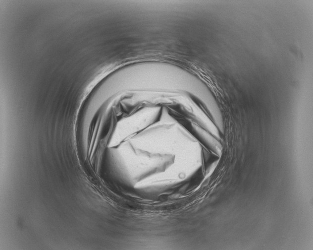 X0000115680292200912101139