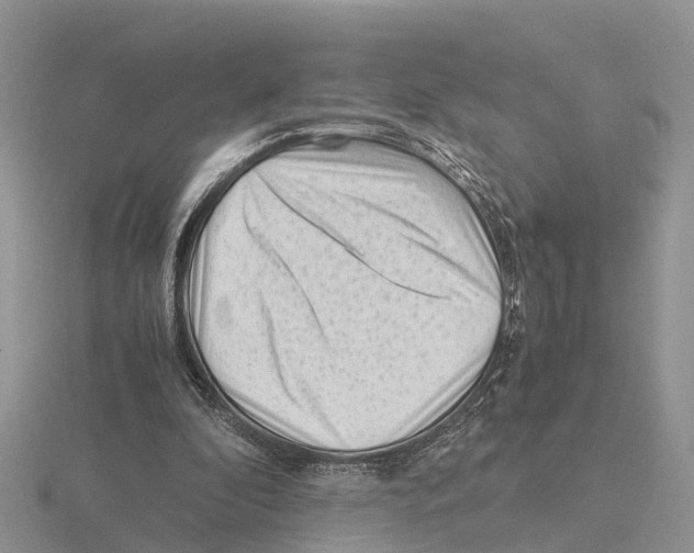 X0000115680296200912101138