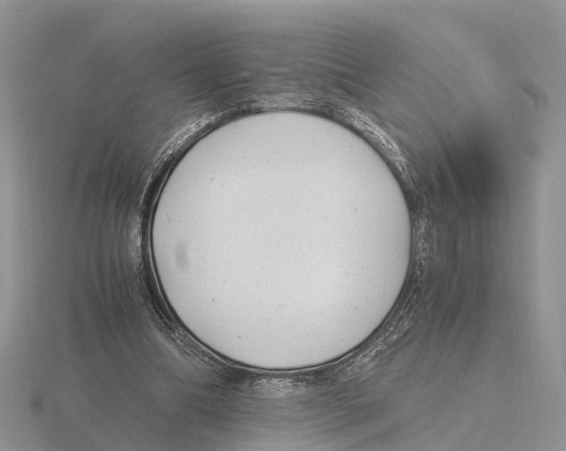 X0000115680298200912101138