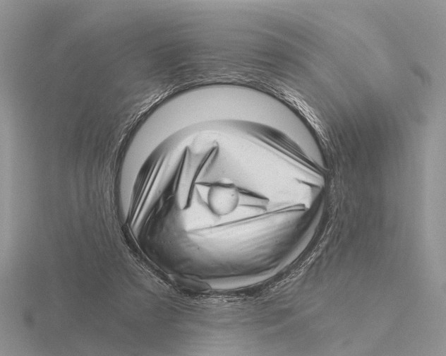 X0000115680305200912101138