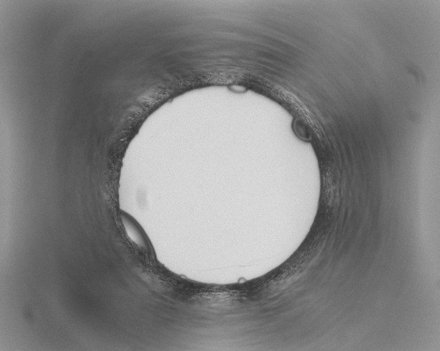 X0000115680307200912101138