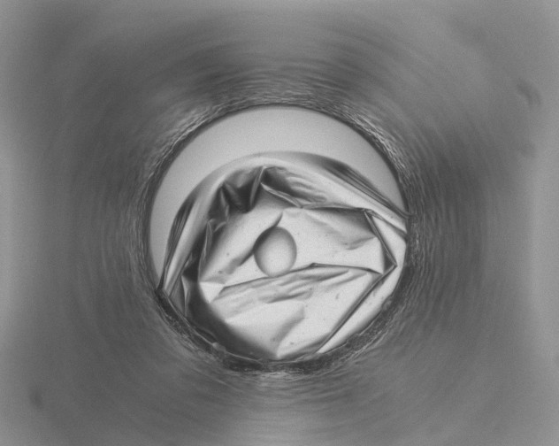 X0000115680309200912101138