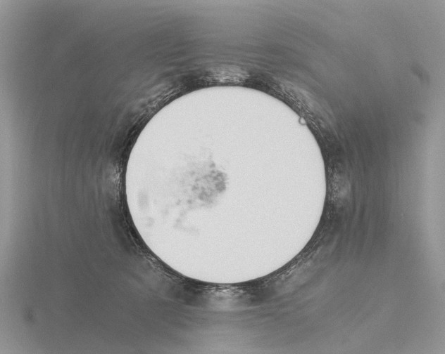 X0000115680321200912101138