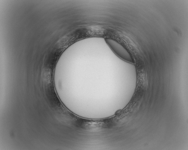 X0000115680323200912101138
