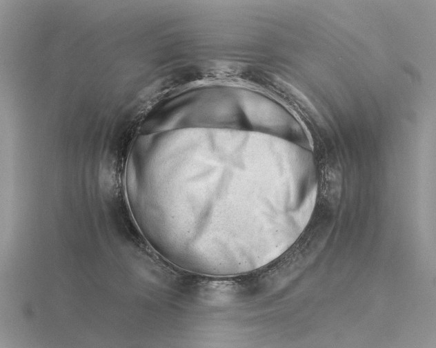 X0000115680324200912101138
