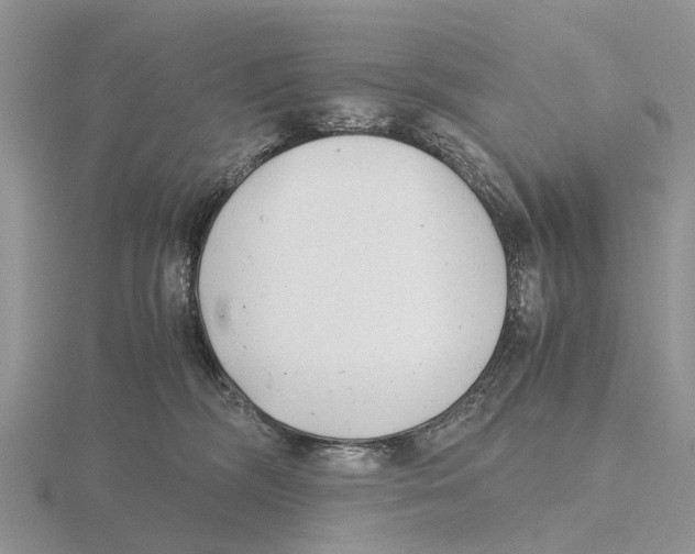X0000115680326200912101138