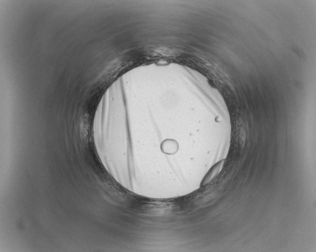 X0000115680328200912101138