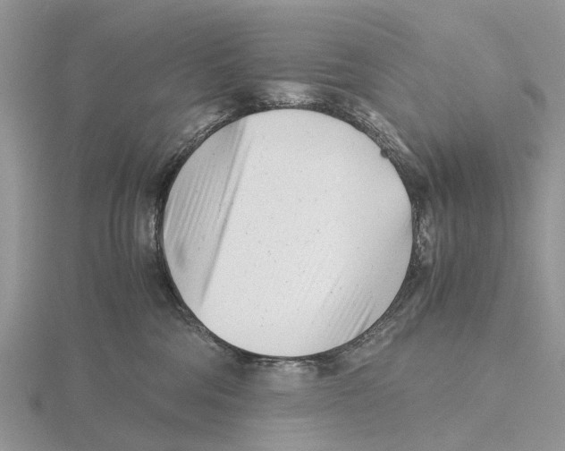 X0000115680330200912101138