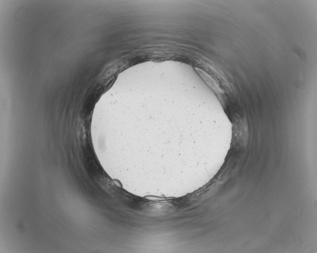 X0000115680333200912101138