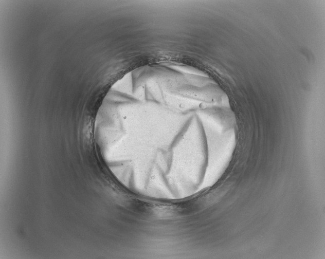 X0000115680336200912101138