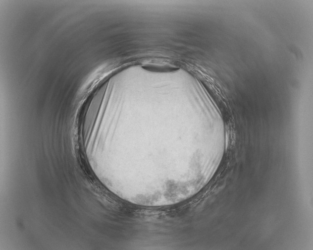X0000115680339200912101137