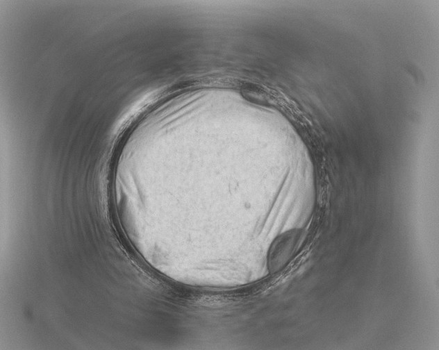 X0000115680341200912101137