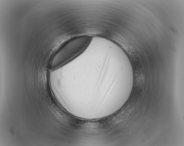 X0000115680350200912101138