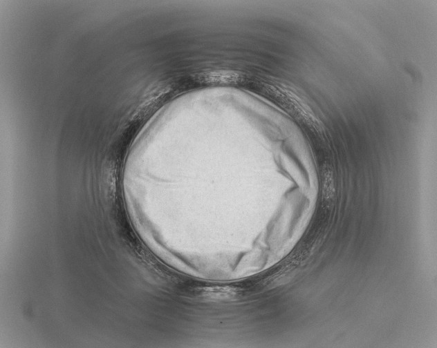 X0000115680363200912101138