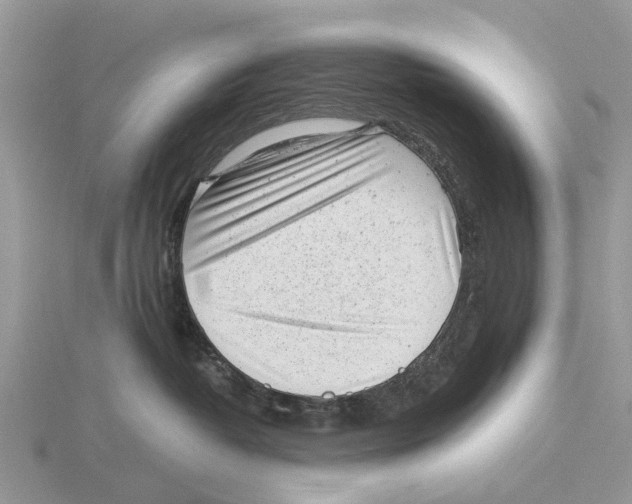 X0000115680382200912101138