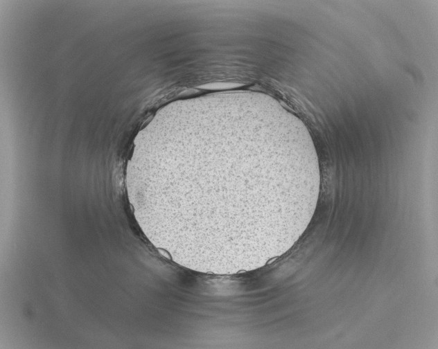 X0000115680383200912101138
