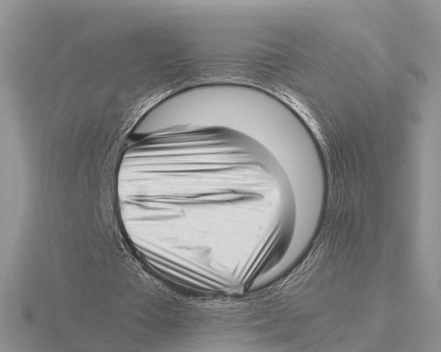 X0000115680385200912101137