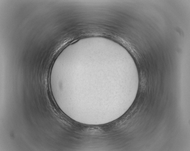 X0000115680386200912101137