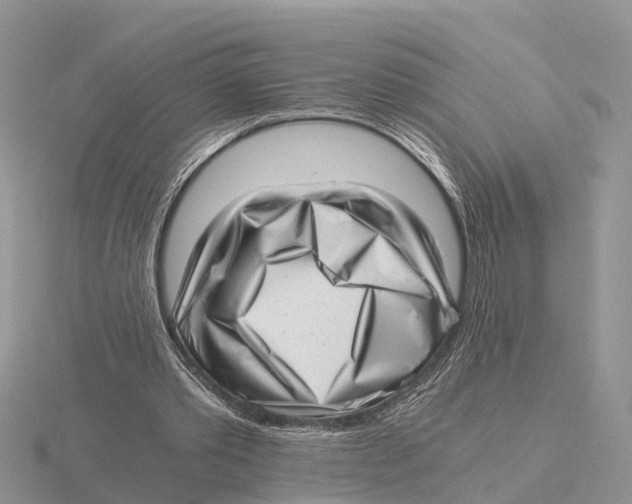 X0000115680389200912101137