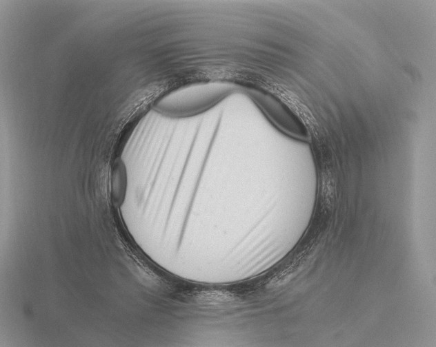 X0000115680397200912101137