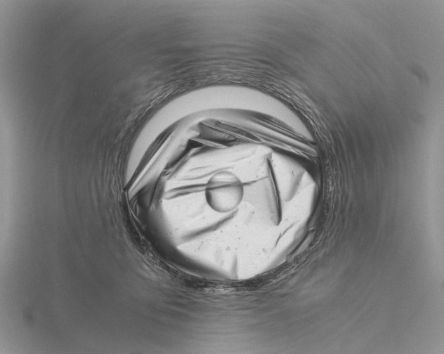 X0000115680419200912101137