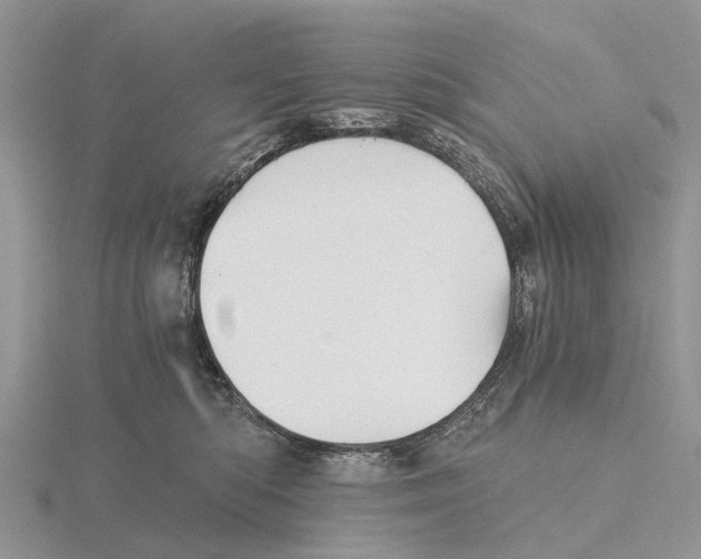 X0000115680422200912101137