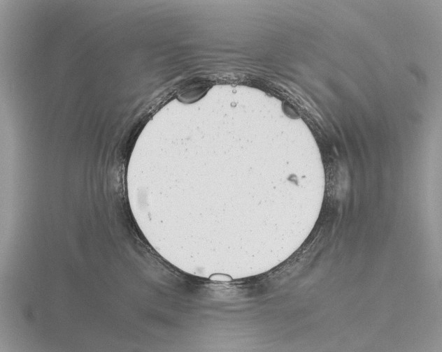 X0000115680425200912101137