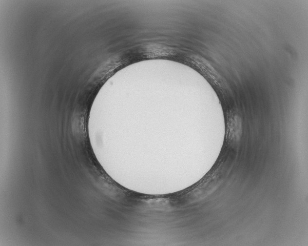 X0000115680426200912101137