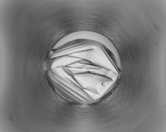 X0000115680431200912101137