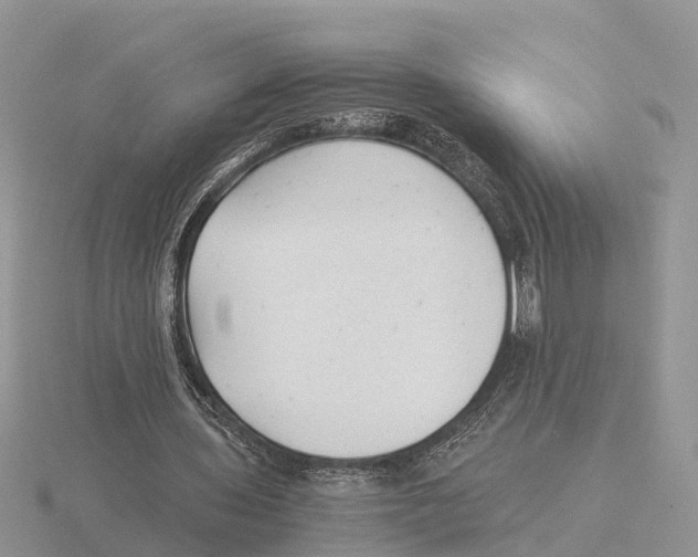 X0000115680435200912101136