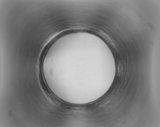 X0000115680436200912101136